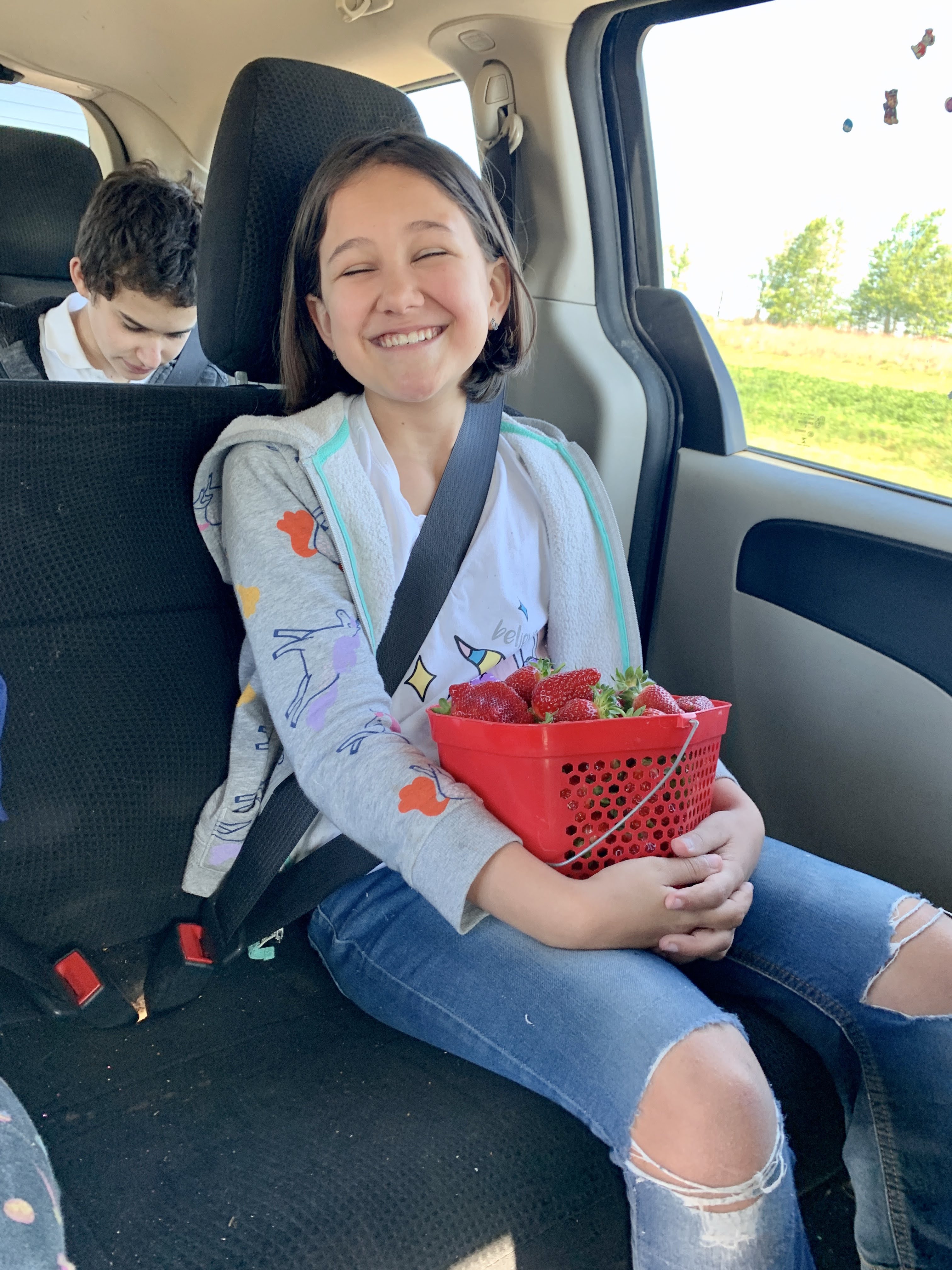strawberries
